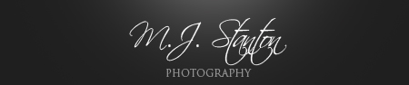 Elegant_logo
