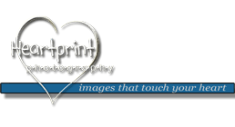 2009-logo-album-exposure-smaller