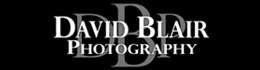 Dbp_small_web_logo_4