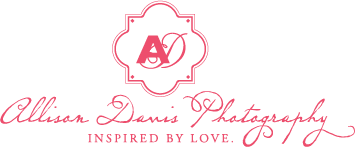 Allisondavisphotography_allpink_logo_medium